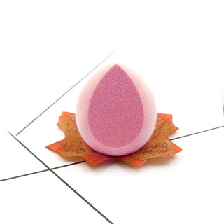 Houbička Make-up Blender