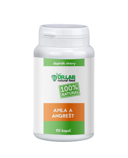 DR.LAB AMLA A ANGREŠT 100% 90 KAPSLÍ