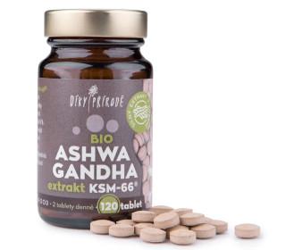 Ashwagandha KSM-66® 120 tablet