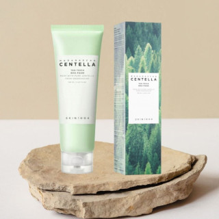SKIN1004 – Madagascar Centella Tea-Trica BHA Foam - čistící pěna s čajovníkem a BHA,125 ml